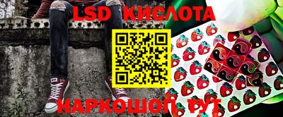 a pvp Новозыбков