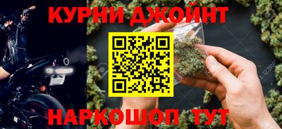 a pvp Новозыбков