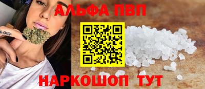 СК Новокубанск