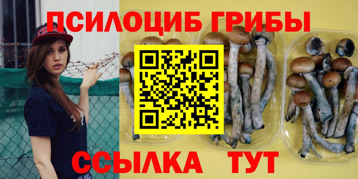 Галлюциногенные грибы Psilocybine cubensis Феодосия
