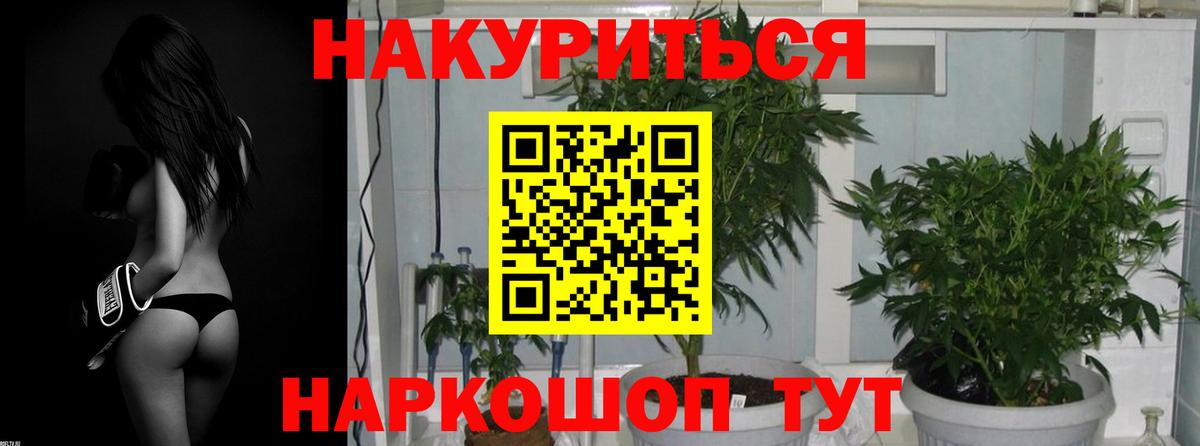 Каннабис SATIVA & INDICA Феодосия